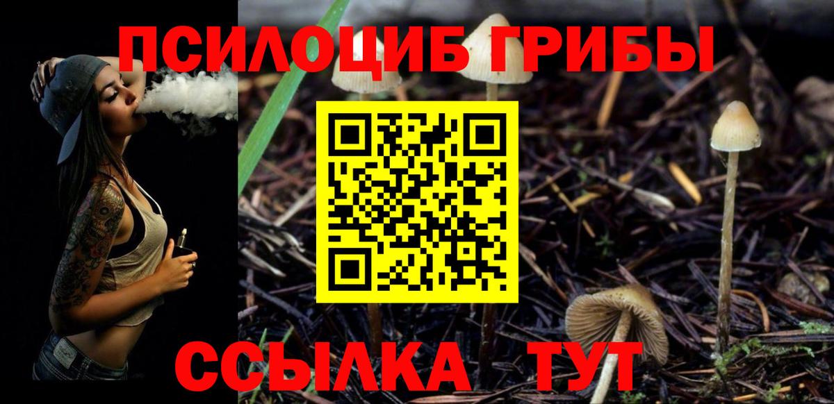 Мегион  Псилоцибиновые грибы MAGIC MUSHROOMS  Галлюциногенные грибы мухоморы  Вход с VPN 